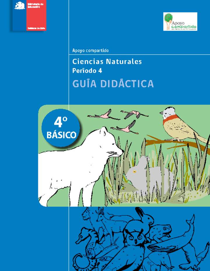 Guía didáctica para la Unidad 4, Ciencias Naturales 4° básico.