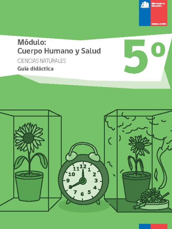 Guía didáctica: Cuerpo humano y salud, Ciencias Naturales 5° básico.