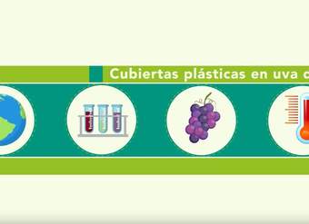 Tecnología de las cubiertas plásticas en vides