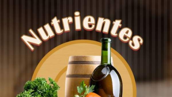 Nutrientes