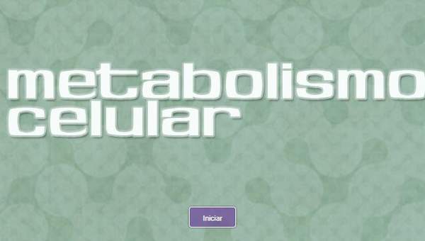 Metabolismo celular