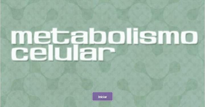 Metabolismo celular