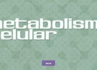 Metabolismo celular