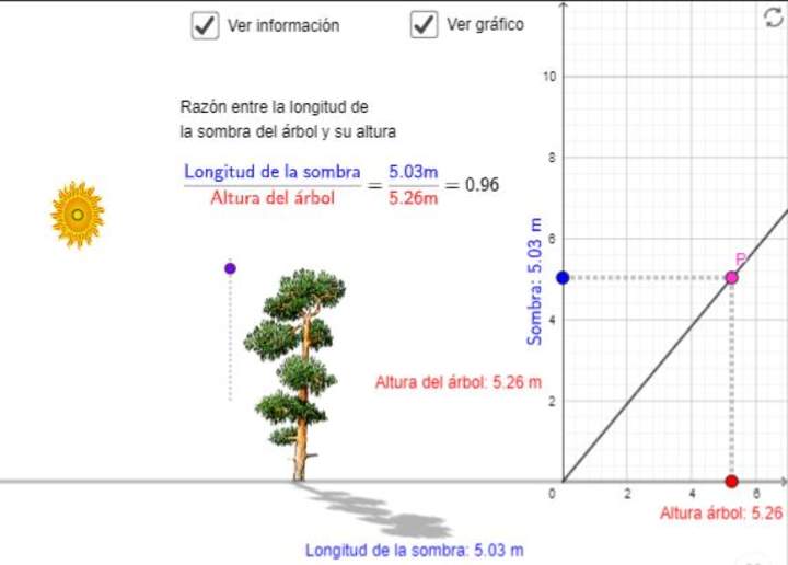 Arbolito: proporcionalidad directa