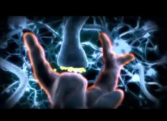 Efecto del alcohol en el cuerpo humano.wmv