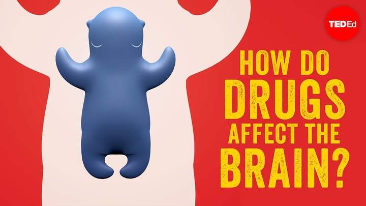 How do drugs affect the brain? - Sara Garofalo