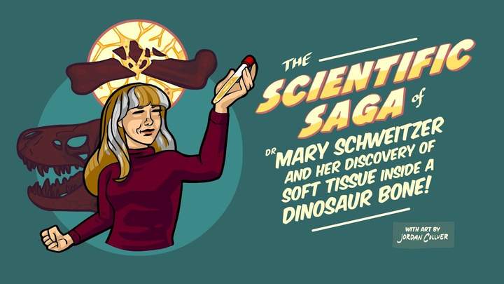 Soft Tissue Found Inside a Dinosaur Bone!