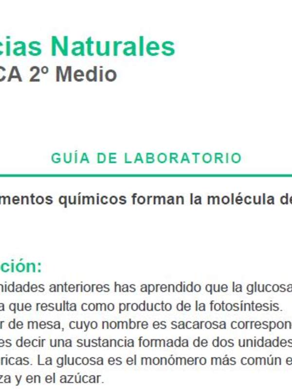 ¿Qué elementos químicos forman la molécula de azúcar?