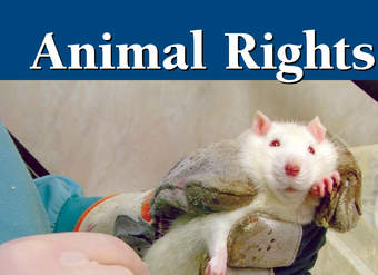 Animal Rights