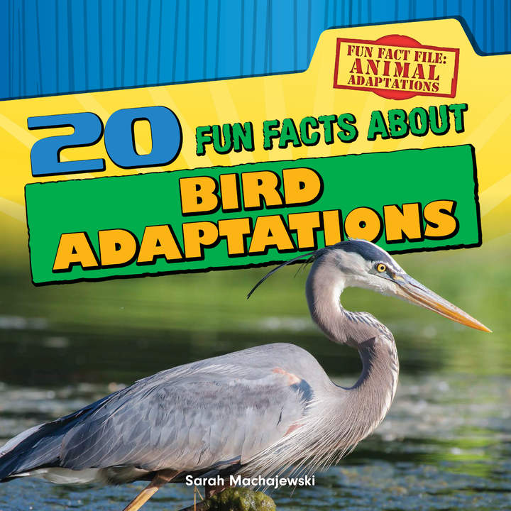 20 Fun Facts About Bird Adaptations