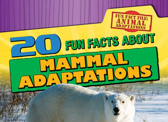 20 Fun Facts About Mammal Adaptations