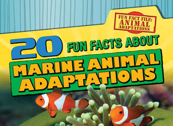 20 Fun Facts About Marine Animal Adaptations