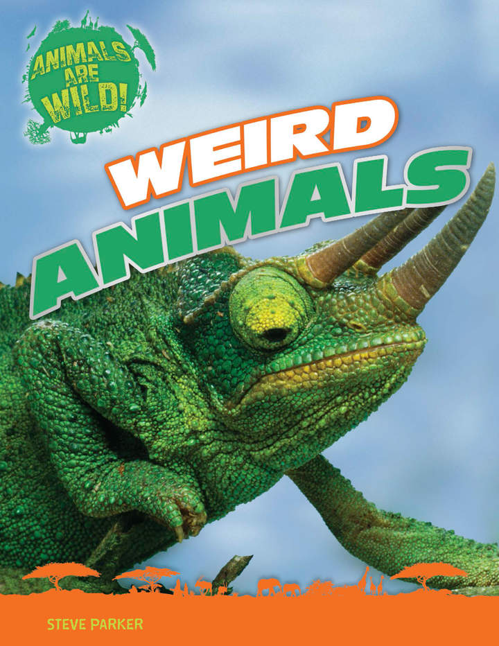 Weird Animals