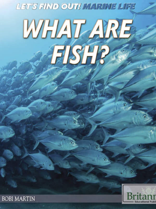 What Are Fish?