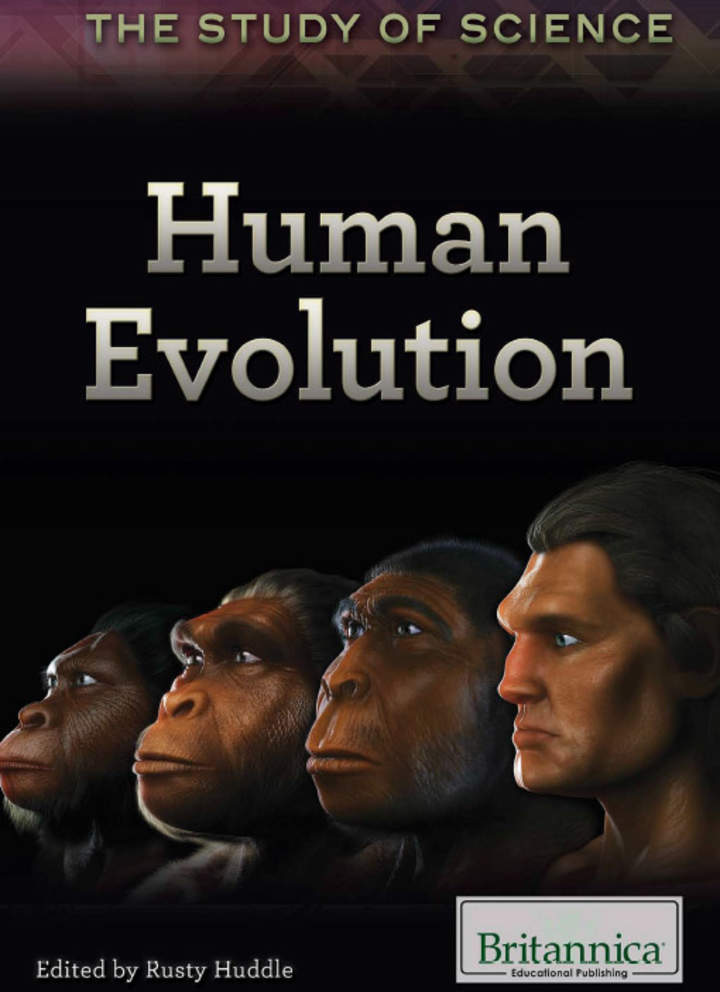 Human Evolution