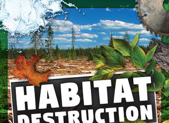 Habitat Destruction