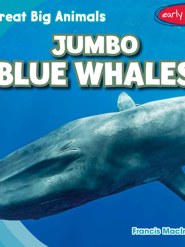 Jumbo Blue Whales