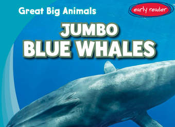 Jumbo Blue Whales