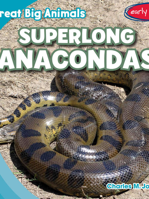 Superlong Anacondas