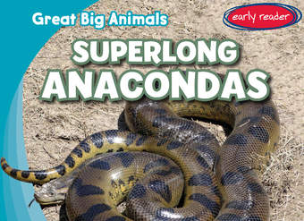 Superlong Anacondas