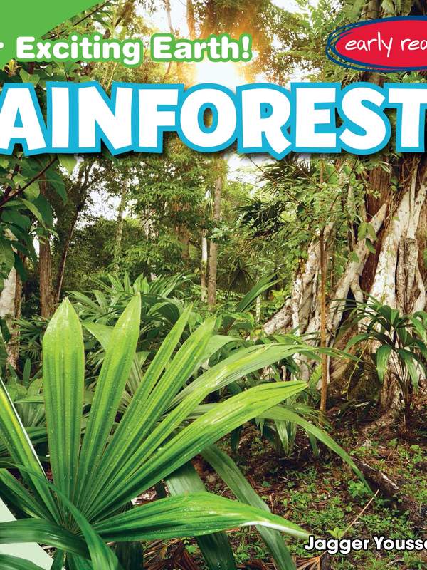 Rainforests