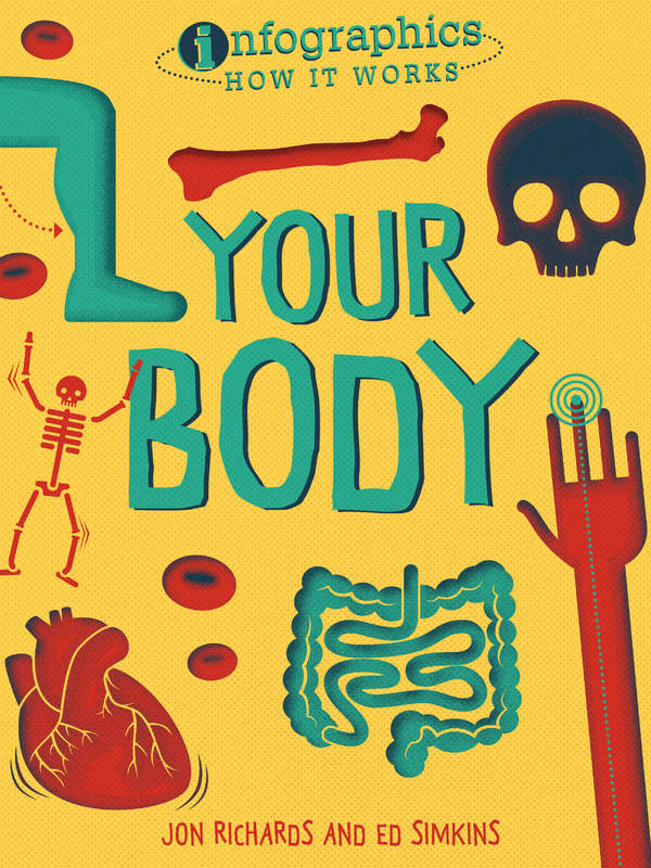 Your Body