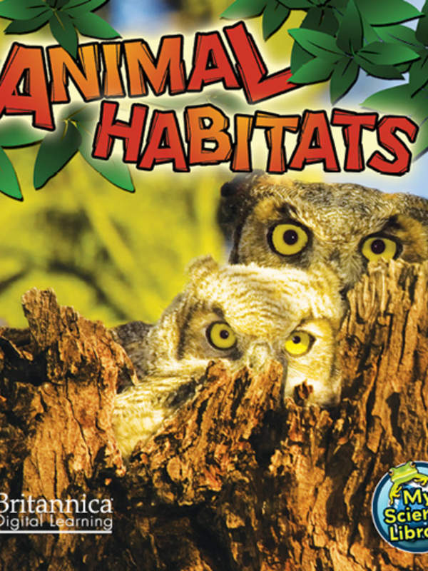 Animal Habitats