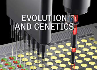 Evolution and Genetics