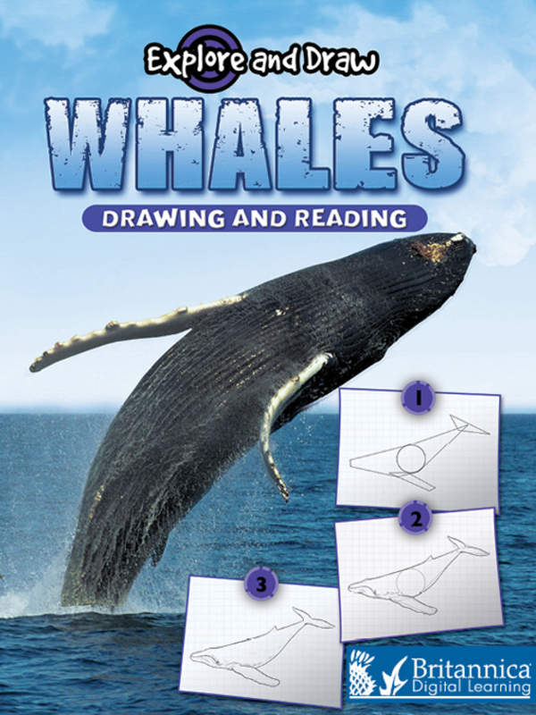 Whales