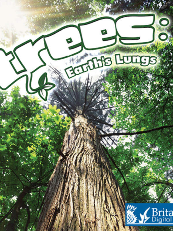 Trees: Earth's Lungs