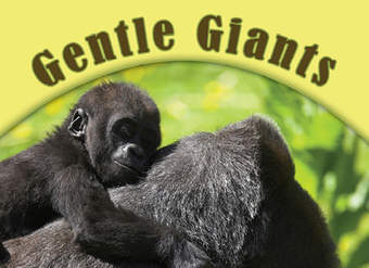 Gentle Giants