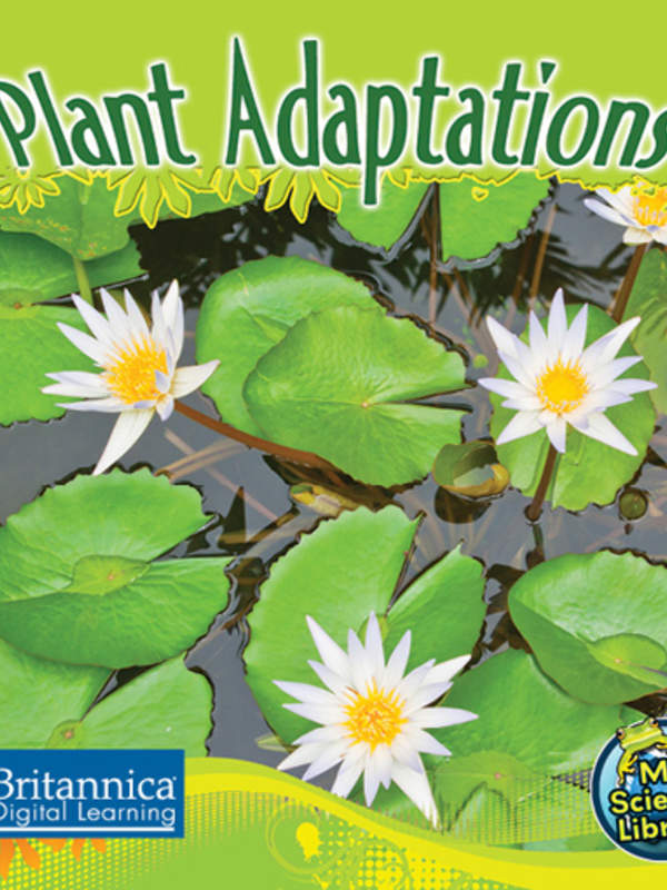 Plant Adaptations