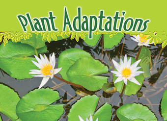 Plant Adaptations