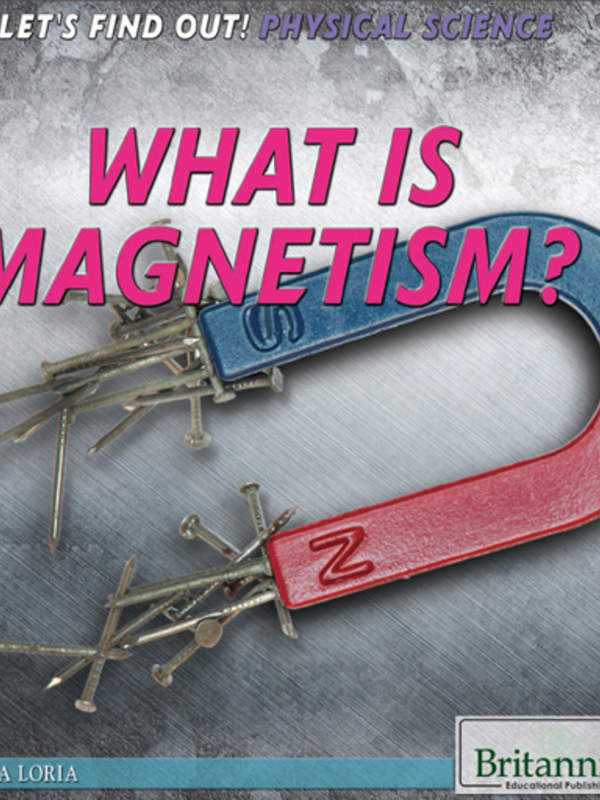 What Is Magnetism?