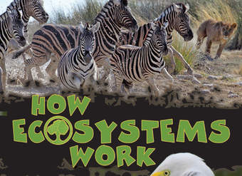 How Ecosystems Work