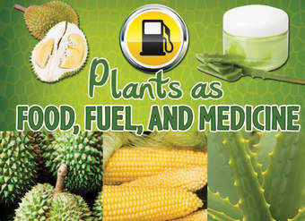 Plants as Food, Fuel, and Medicine