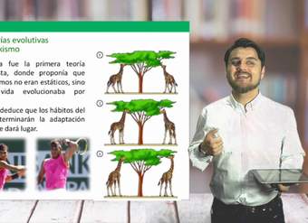 Biología Electivo - Evolución - Clase N°29 2019