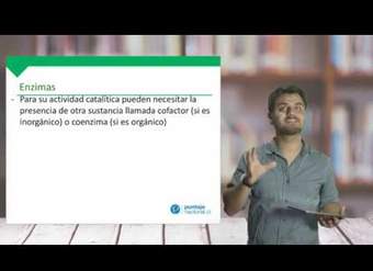 Biología - Enzimas y Método Científico - Clase N°2 2019