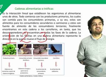 Biología - Ecología III  - Clase N°16 2019