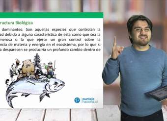 Biología - Ecología II Comunidades - Clase N°15 2019