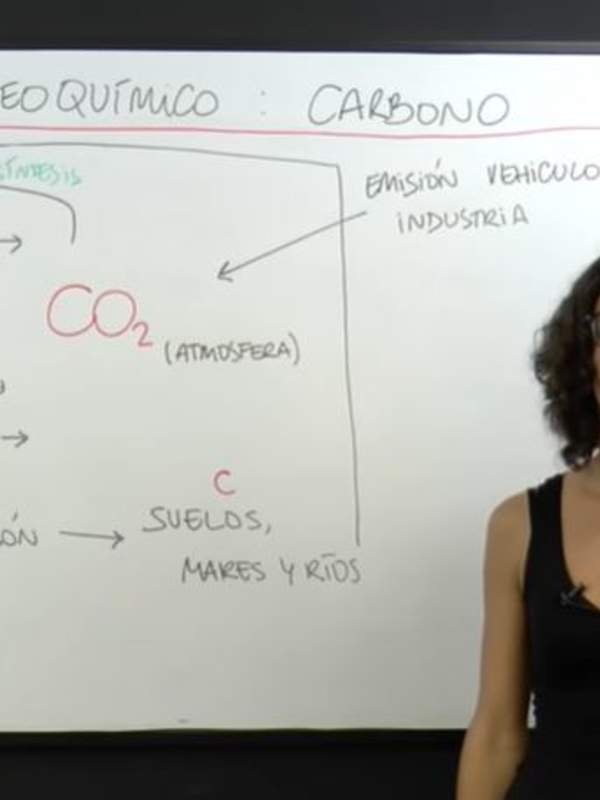Ciclos biogeoquímicos