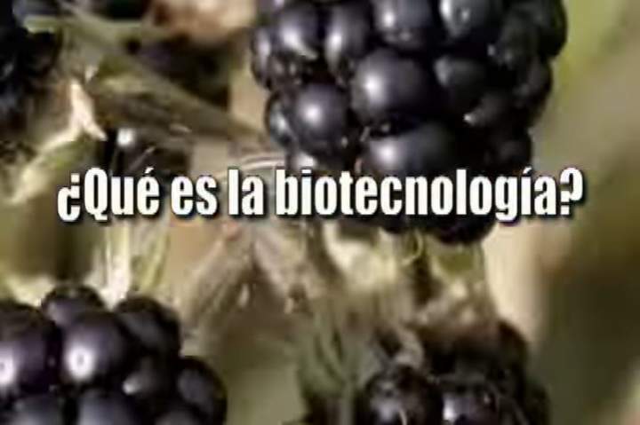 Biotecnología