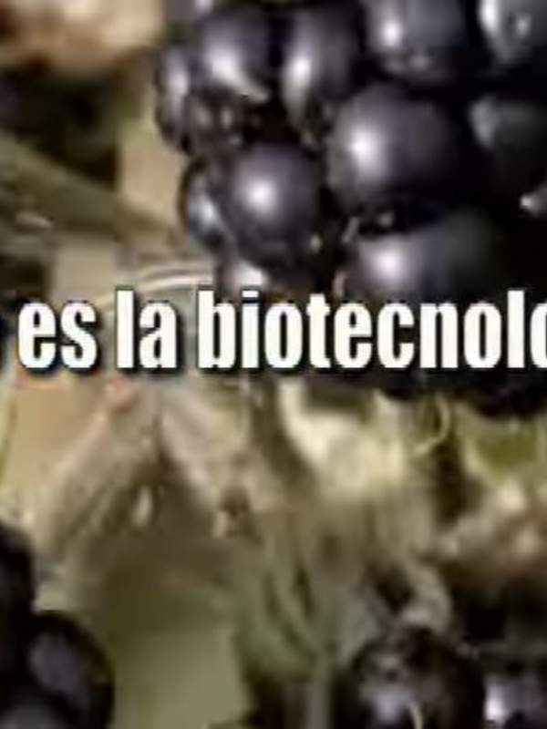 Biotecnología