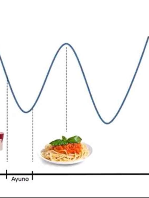 Homeostasis