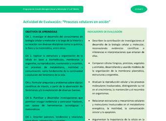 Actividad de evaluación: Procesos celulares en acción