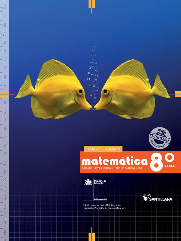 Matemática 8° Básico, Texto del estudiante - Fragmento de muestra