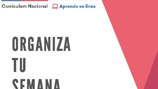 Organiza tu horario