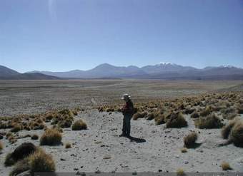 El Camino del Inca en el Norte Grande