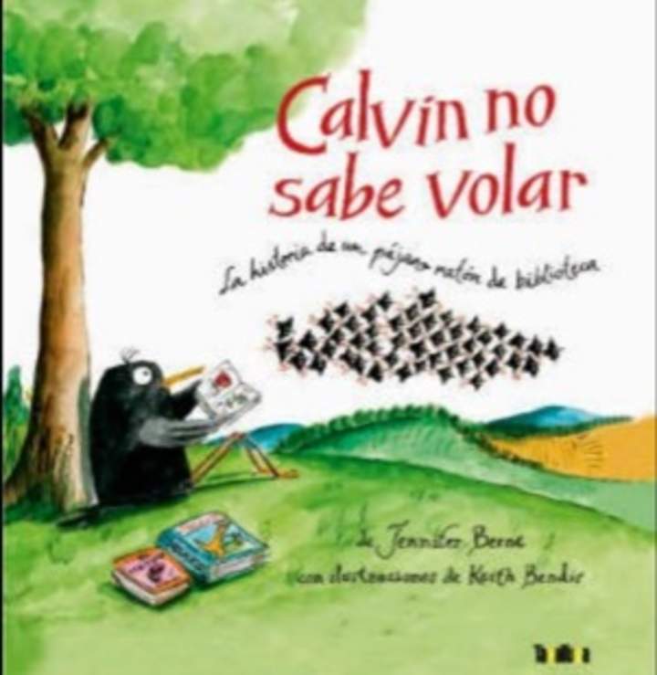 Imagen de Calvin no sabe volar