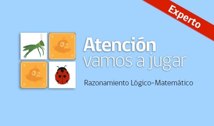 Atención, vamos a jugar (Experto)